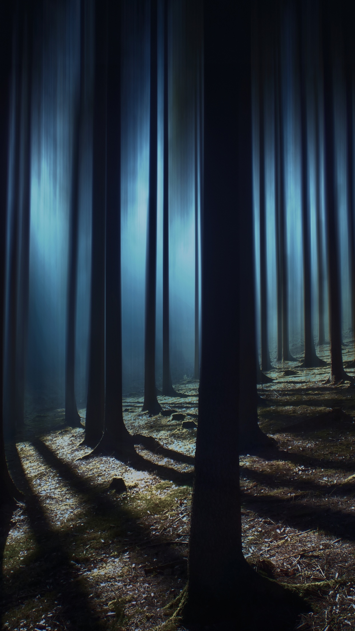 Dark Forest 4K Wallpaper, Woods, Night time, Dark, Shadow